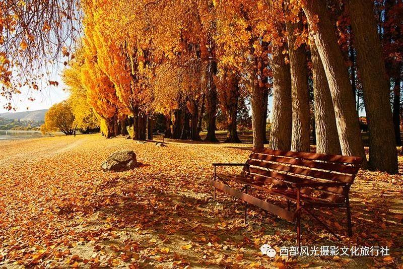 探索奇妙世界,畅享怎样恢复生理曲度问答